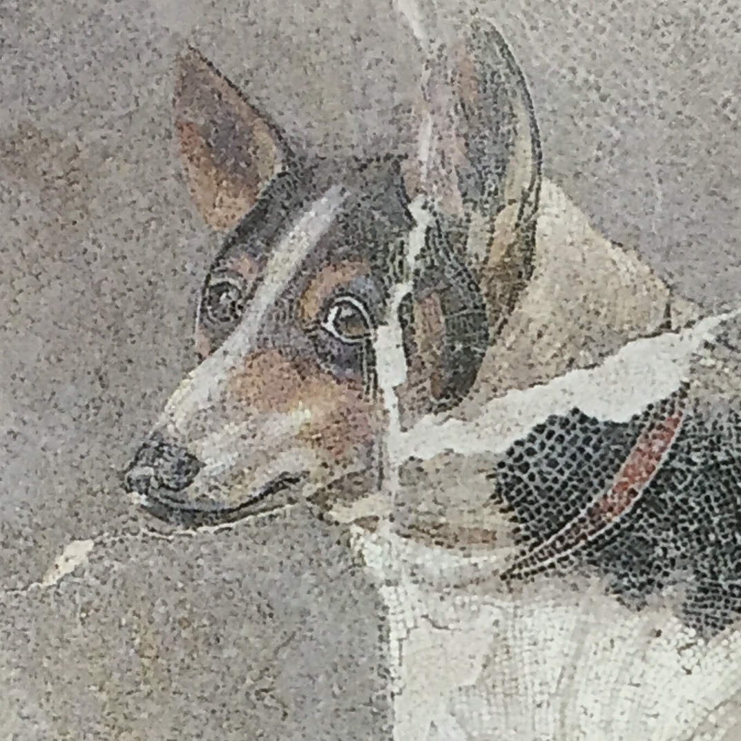 Dog in a Fresco