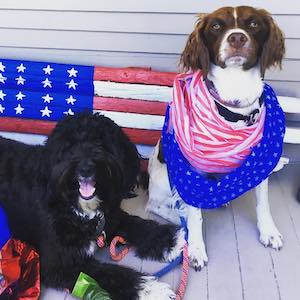 Truly Patriotic Canines